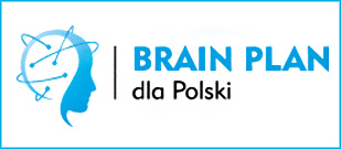 baner brainplan2